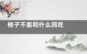 柿子不能和什么同吃 柿子和什么不能一起吃(柿子不能和什么食物一起吃)